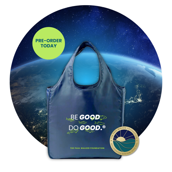 BE GOOD, DO GOOD.® Tote & Pin – The Paul Walker Foundation